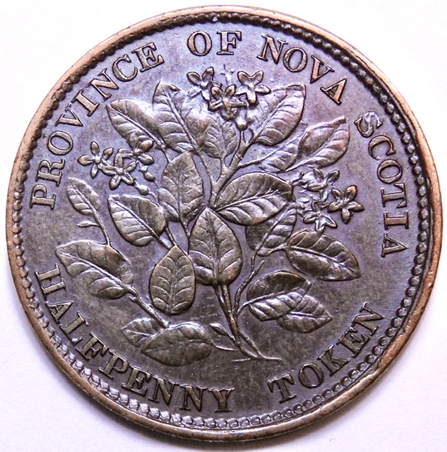 Around-The-World-With-Coins---A-Coin-Geography-Game